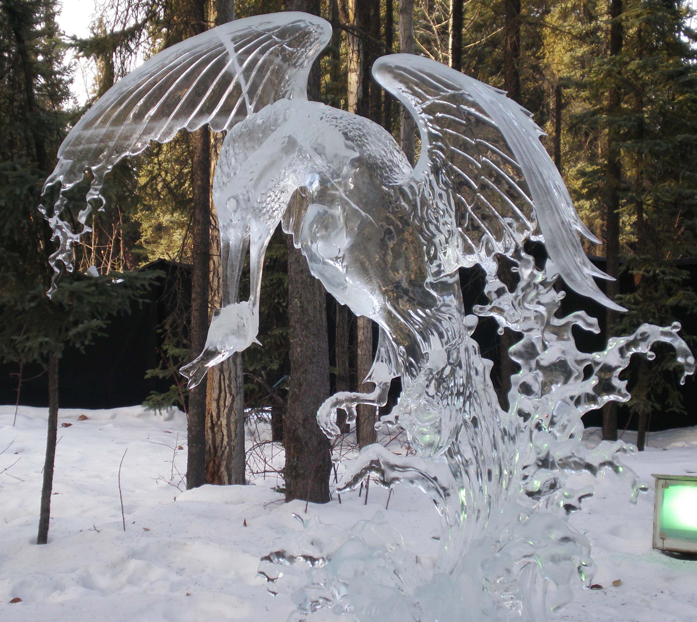 raven-ice-sculpture1.jpg